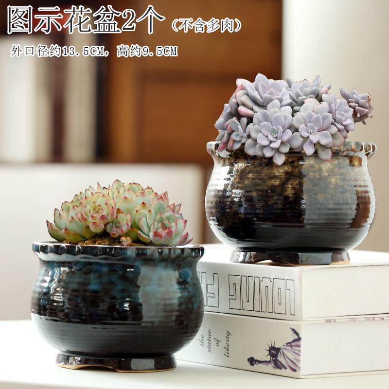 多肉植物花盆陶瓷拇指盆小个性控型复古老庄手绘