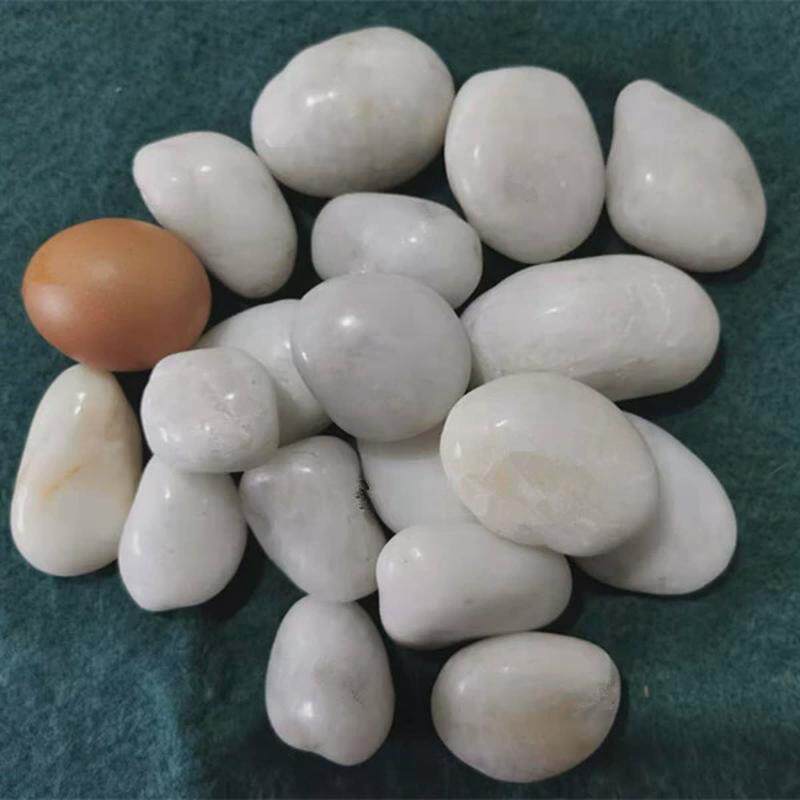 白石子白色多肉石头花庭院盆景鹅卵石景观碎石小白洗澡堂阳台院装