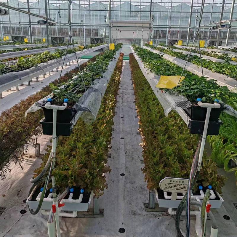 无土栽培升降育苗种植槽种植栽培草莓空中立体栽培蔬菜种植槽