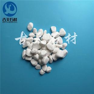 白色用花园石子鹅卵石庭院铺路铺地小白石头枯山水造景景观白石子