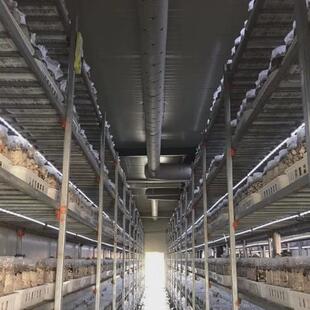 厂家阻燃农场大棚防火消防农业纤维织物索斯绝热布袋送风软管