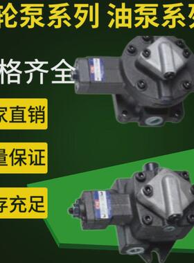 CML齿轮泵VCM-SM-30A-20 VCM-SM-40A/30B/30C/30D/40B/40C/40D-21