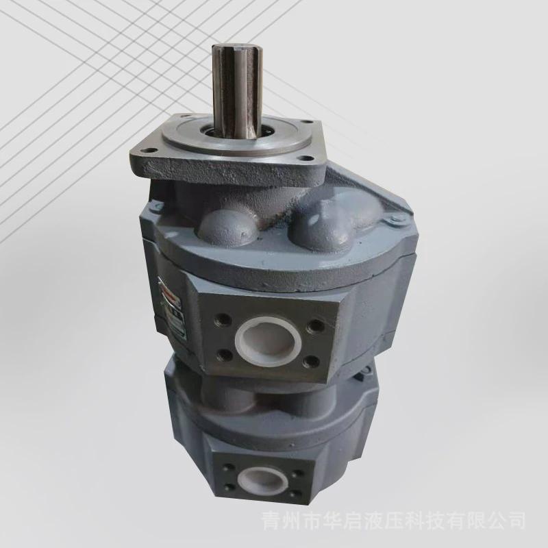 定制加工液压泵齿轮泵cbg系列电动柴油机制液压系统吸油双联