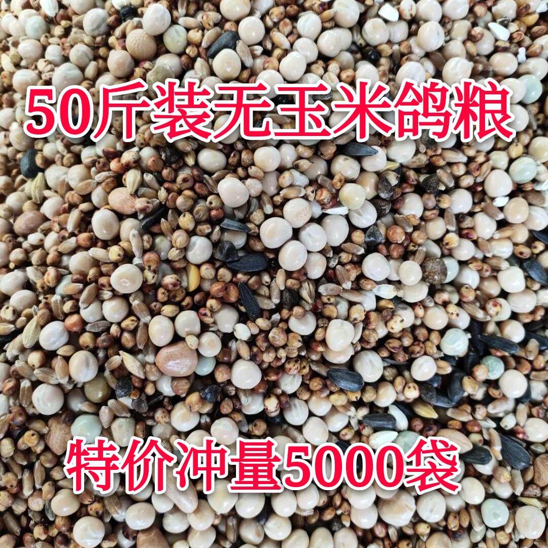 50幼鸽子粮无玉米鸽粮鸟食饲料赛鸽信鸽飞观肉斤成鸽粮19省