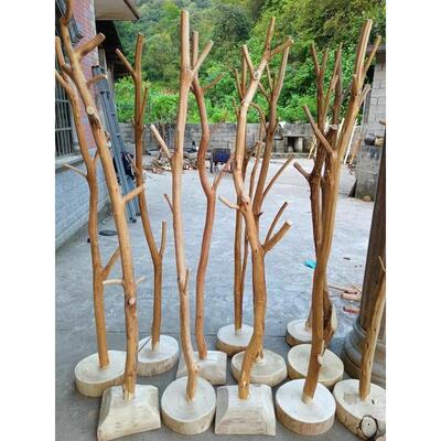 原木衣帽架干树枝挂衣架实木树杈新品卧室民宿简约现代家用创落地