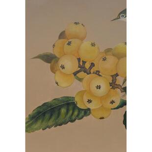 xyt手绘画《枇杷山鸟》暖调好寓意入户客厅餐厅玄关新中式艺术画
