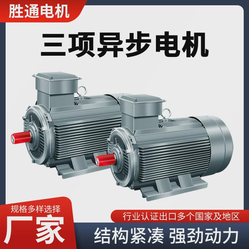 YE2系列三相电机YE2-355L1-8极三相异步立式电动机185KW电动机