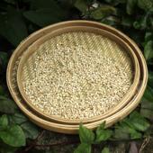 头层青皮竹编筛子晾晒圆簸箕有孔沥水竹匾农家大号簸箕手工竹制品