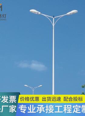 led市政双臂路灯6米8米10米12米城市道路灯双头高速公路灯厂家