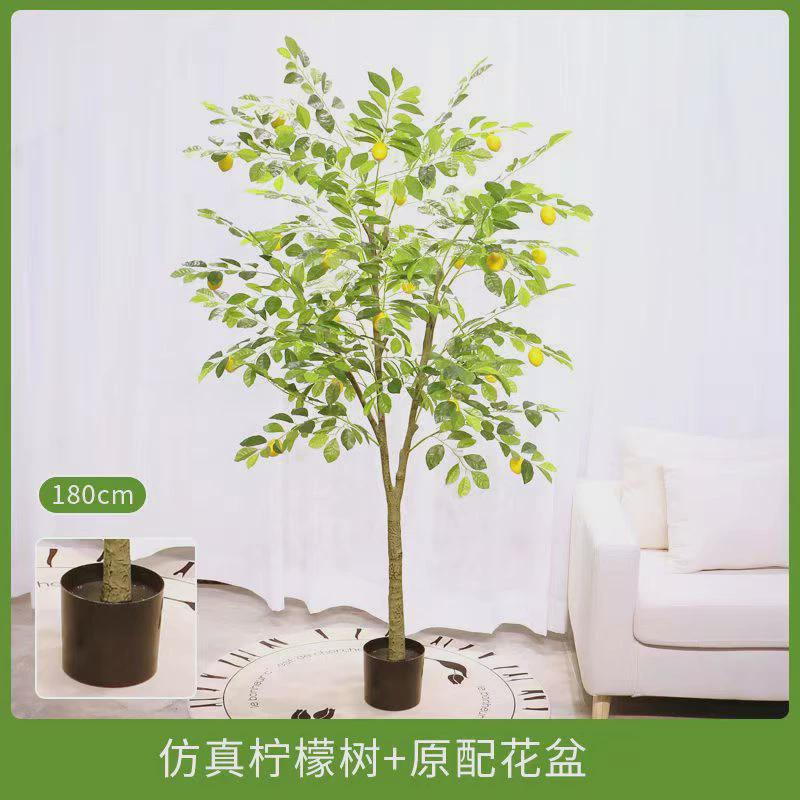 装扮造景仿真绿植旅人蕉柠檬树假植物连心葵大型针盆栽树仿真树葵
