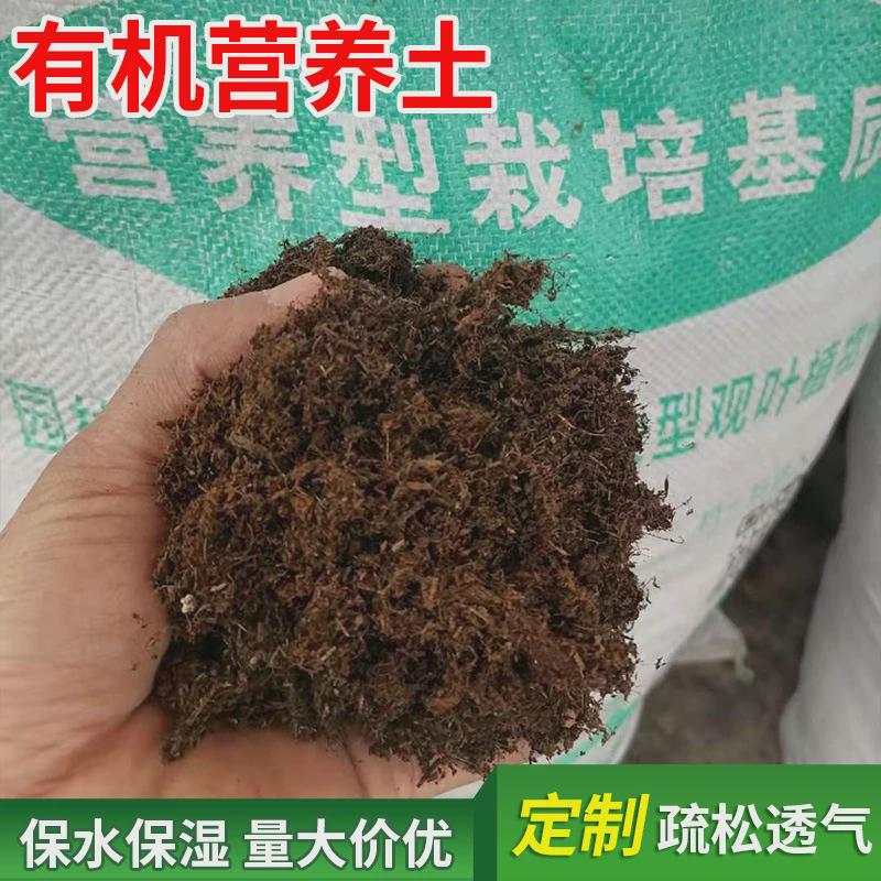 园林种植绿化种树土花土草皮坪种植腐殖土草炭土松针土有机营养土