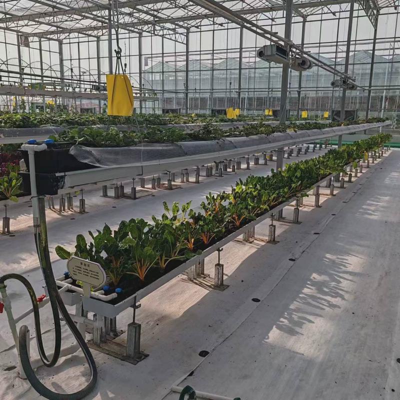 无土栽培升降育苗种植槽空中栽培草莓种植立体槽蔬菜种植栽培