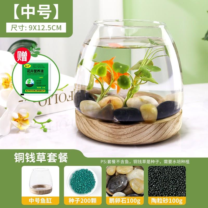 桌上小鱼缸办公室鱼缸客厅家用玻璃乌龟缸透明桌面金鱼缸小型迷你