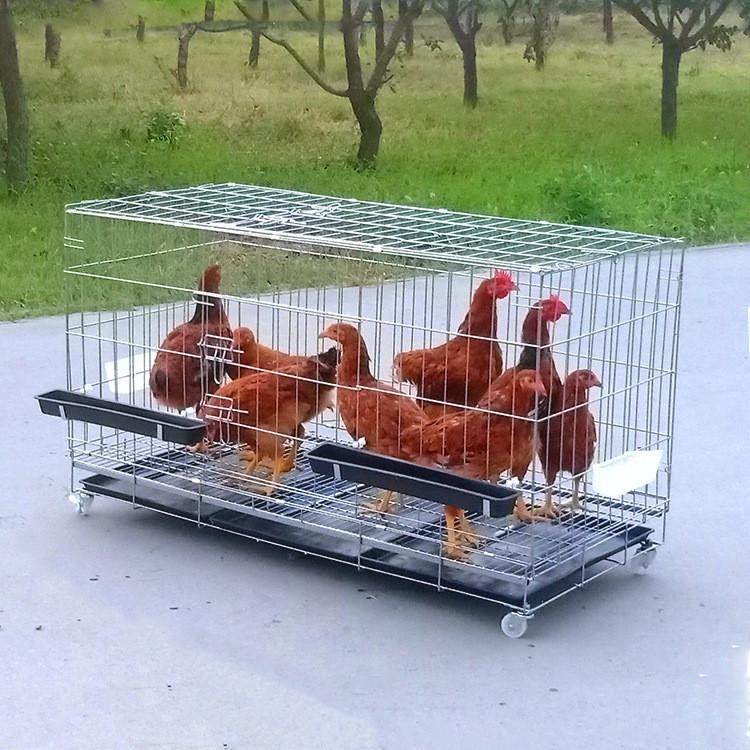 鸡笼 号加密养殖鸡笼折叠运输笼兔笼狗猫笼家用鸡笼子,宠物/宠物食品及用品,狗窝/屋/帐篷/沙发,淘宝优惠券,粉丝福利购,淘宝优惠卷