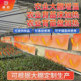 农业电热膜大棚苗床加热育冬季保温防冻害蔬菜大棚增温