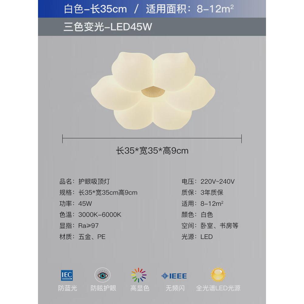 卧室吸顶灯网红花瓣年风儿童房灯家用温馨浪漫2025奶油新款房间灯