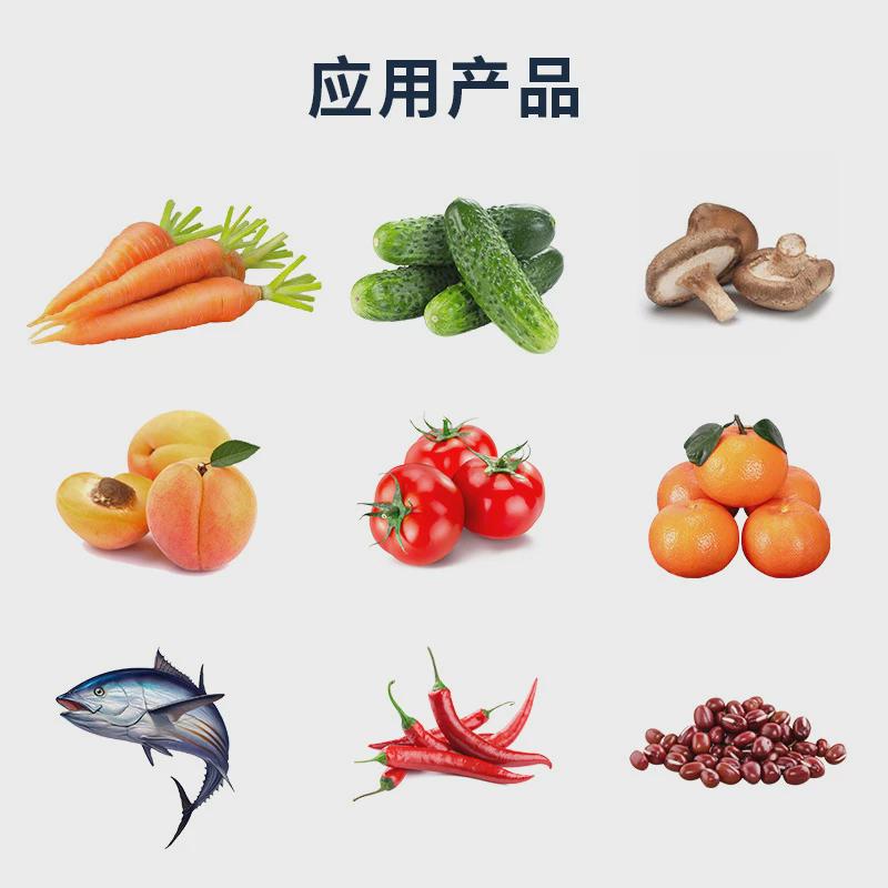 鼓泡喷淋果蔬清洗机带提升洗果机辣椒黄桃香菇海产品气泡清洗机