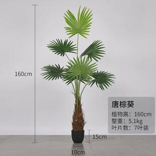 仿真蒲葵唐棕蒲棕榈阳台地假绿植物室内叶落橱窗庭院造景装饰摆设