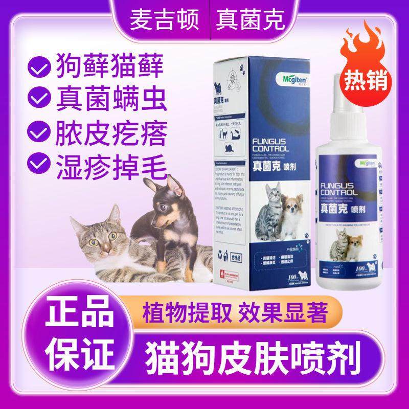 头孢羟氨片宠物泌尿路感染尿道皮肤中耳炎猫咪狗狗专用犬用消炎药