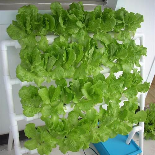 供应立体花架水培无土栽培阳台管道蔬菜种植机花盆架子