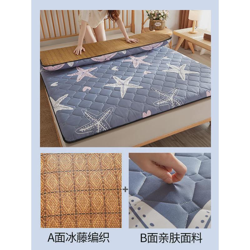 ri0t夏天薄款床垫软垫家用夏季学生宿舍床租房凉席垫子冬夏两