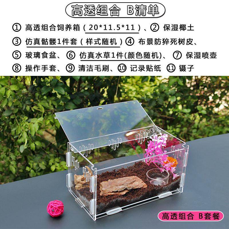 爬宠箱饲养盒亚克力透明塑料大号养蚕甲虫蜘蛛独角仙守宫饲养箱