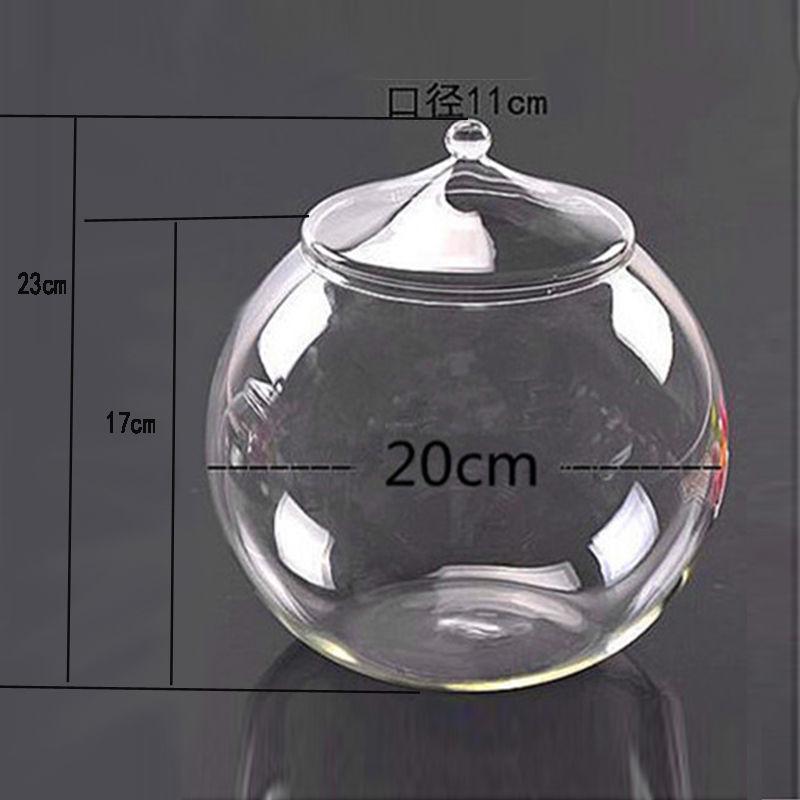 鱼缸容器植物花瓶苔藓瓶带盖养微景观diy多肉植物制作玻璃生态瓶