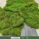 仿真苔藓草皮植物墙配件室内装 饰苔藓人造景观假青苔植物售直草坪