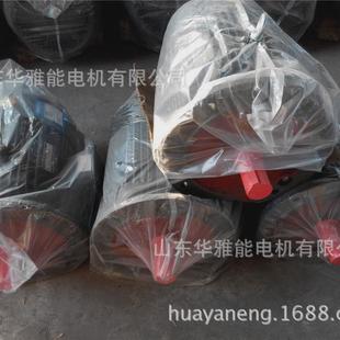 h180l 22电机60hz频率电机顺时非轴伸端 鲁都yb3 曲阜金升卧式