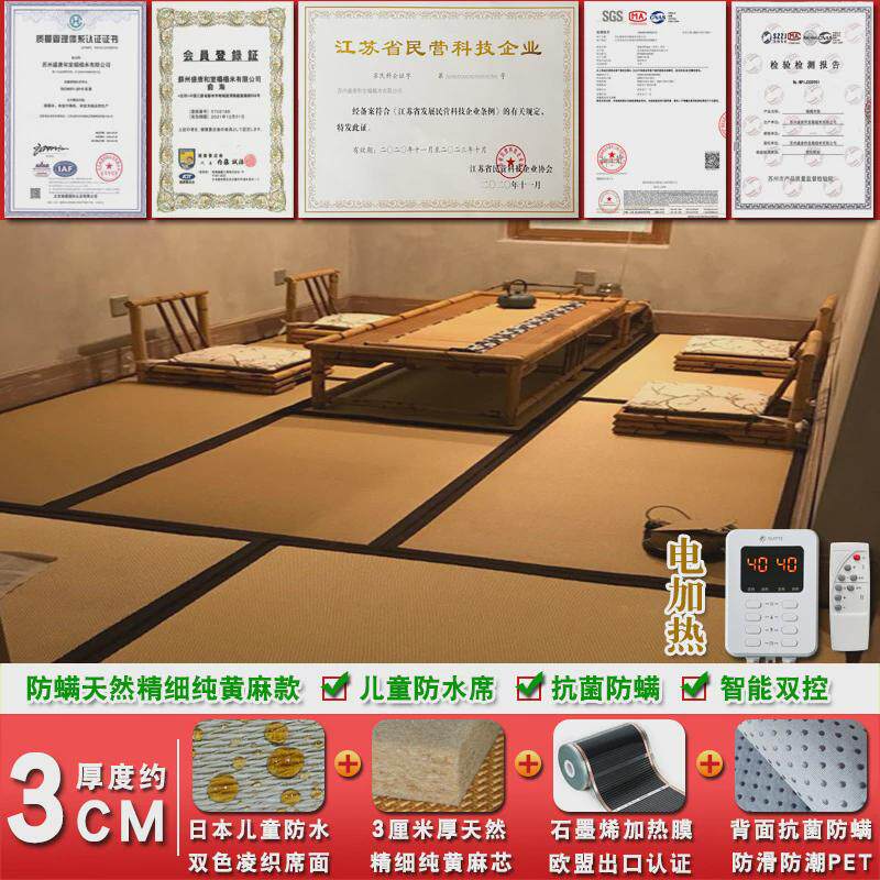 地垫电加热榻榻米垫子椰棕防水塌塌米加热踏踏米床垫炕垫可定