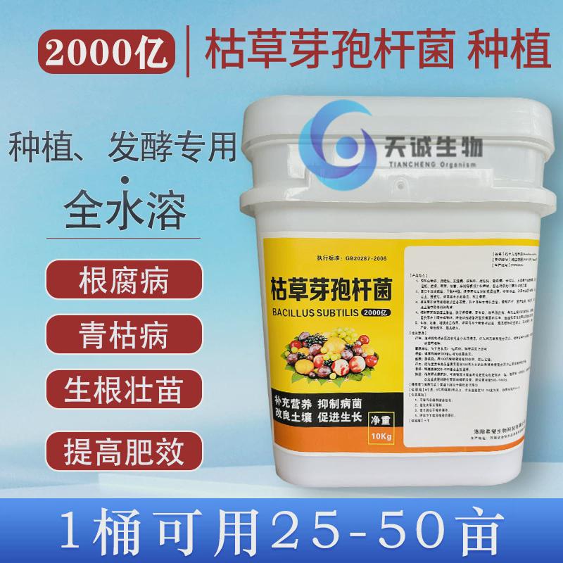 厂家供应农业林业枯草芽孢杆菌改良土壤枯草农用地芽孢杆菌