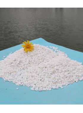 批发水池装饰鹅卵石公分池底铺贴小石头2-3|3-5池边白色石子