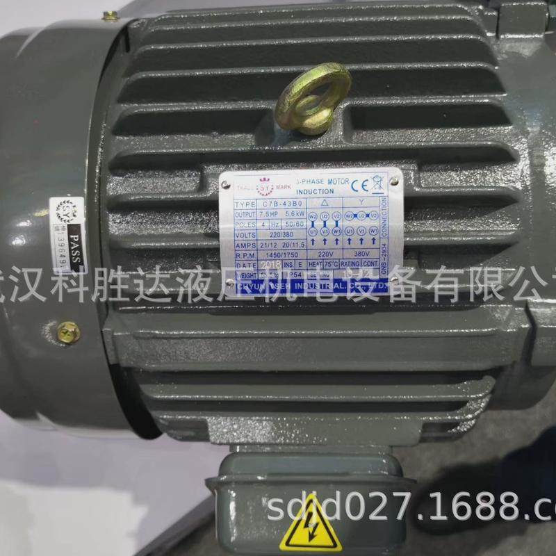 热销SY群策电机10HP-4P/7.5KW电机C10-43BO三相卧式内插式无轴电