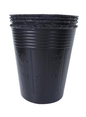 12x15cm农业林业专用大号pe塑料营养钵花盆育苗杯批发