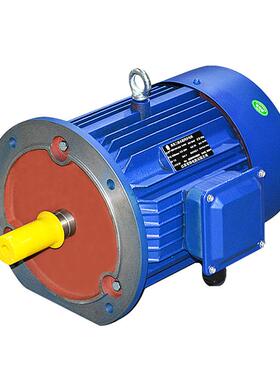 直流永磁同步电动机微型稀土无刷电机20w6500rpm24h220h341