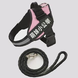 狗狗宠物项圈脖圈小型犬法牛法斗恶霸中大脖套牵引绳狗绳