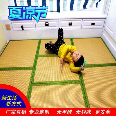 榻榻米床垫子尺寸可选电加热日式家用塌塌米椰棕炕垫子踏踏米地垫