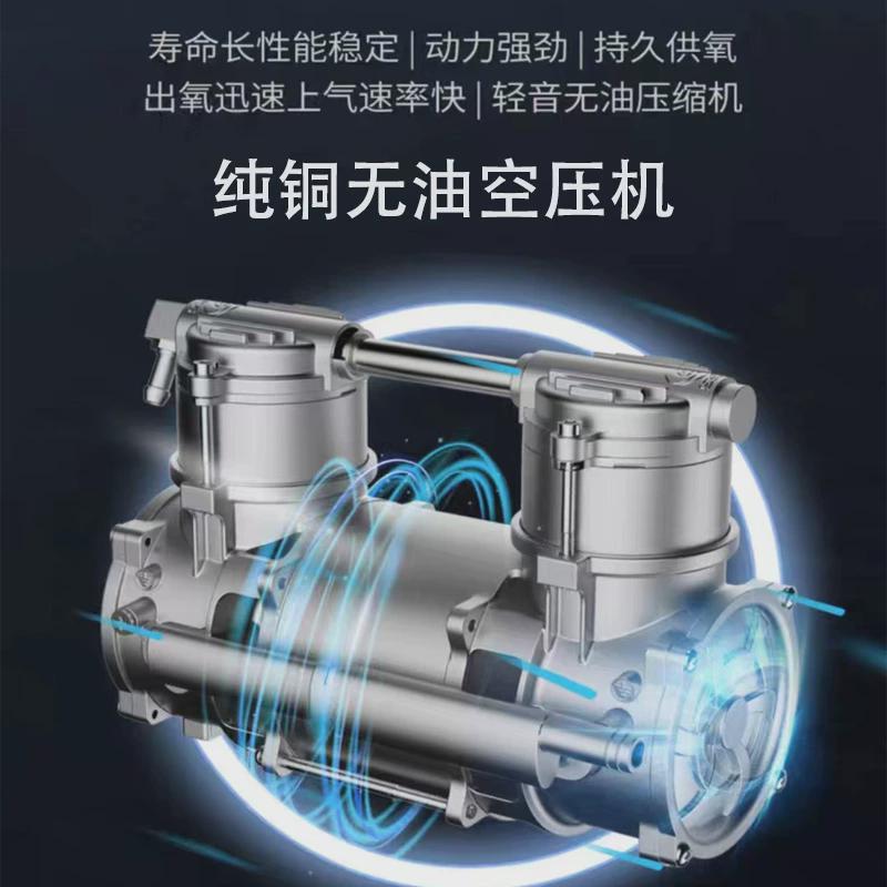 5L10L3020L鱼池工业纯氧机水产养殖制氧机氧气机发生器焊接增氧机