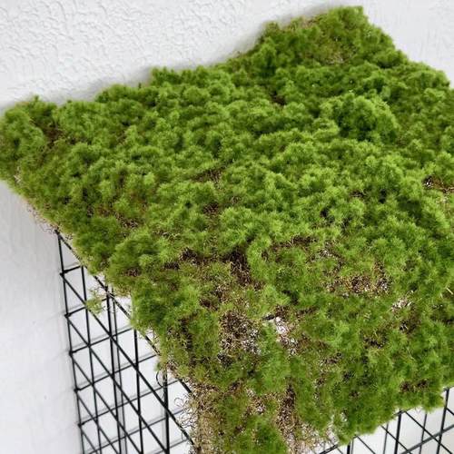 仿真绿植青苔藓皮青苔坪橱窗软装苔藓绿地墙面植物墙装饰人造草坪