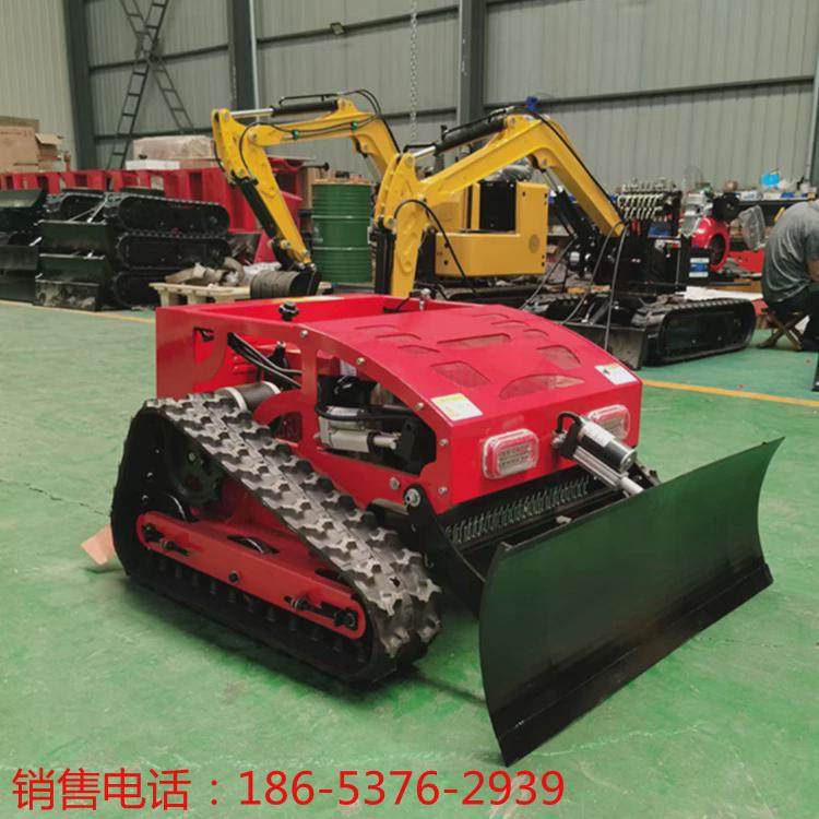 果园荒地绿化小型履带剪草机遥控割草机草坪修剪全自动除草机,鲜花速递/花卉仿真/绿植园艺,割草机/草坪机,淘宝优惠券,粉丝福利购,淘宝优惠卷