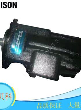 逊丹尼叶片泵t6dc0170030050060080100121l00b1