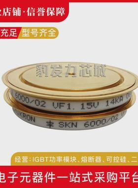 skn6000/04skn6000/06晶闸管平板