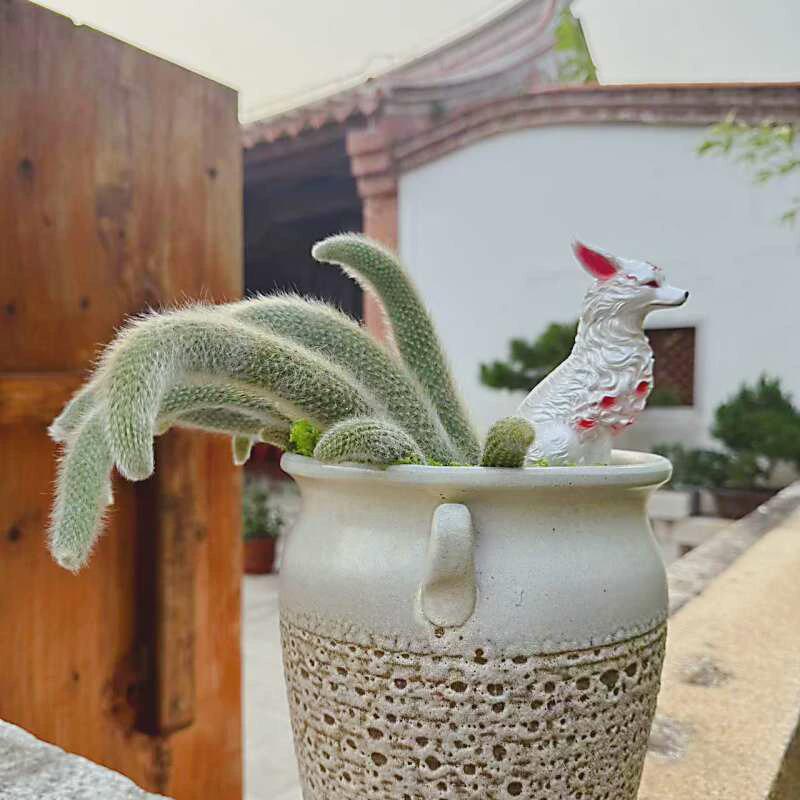 狐狸花盆摆件九尾狐多肉猴尾柱阳台微景观户外花园庭院装饰防水晒