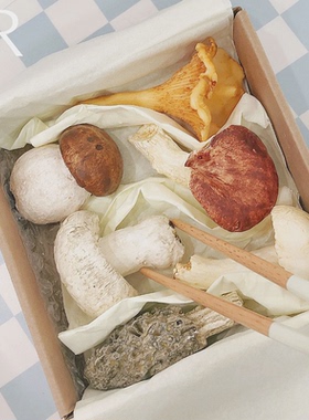 适用法国La Galine 手工仿真立体蘑菇蔬菜创意筷子架托艺术摆件礼