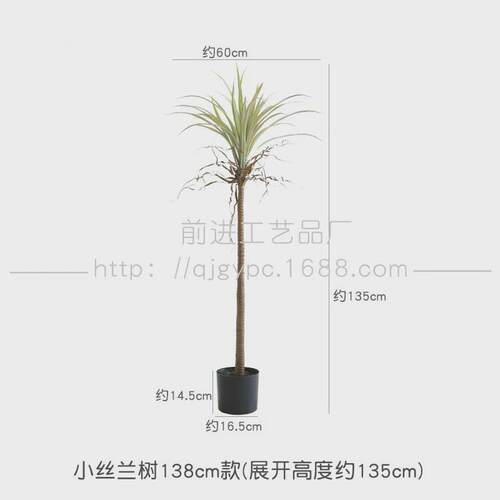 沙生植物荷兰芦荟龙舌兰造景装饰摆件假树仿真铁马尾铁店铺软装
