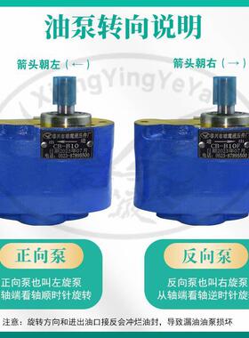 厂家直供：cb-b2.5/b6/b10/b16/b125齿轮泵液压油泵减速机润滑泵