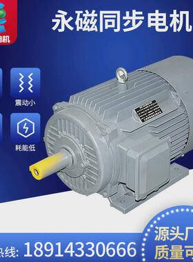 永磁电机永磁变频永磁同步电机typ系列3000rpm电动机150hz