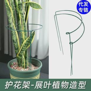 植物固定支架石斛绣球虎皮兰龟背竹支撑杆鹤望兰秋海棠防倒伏花架