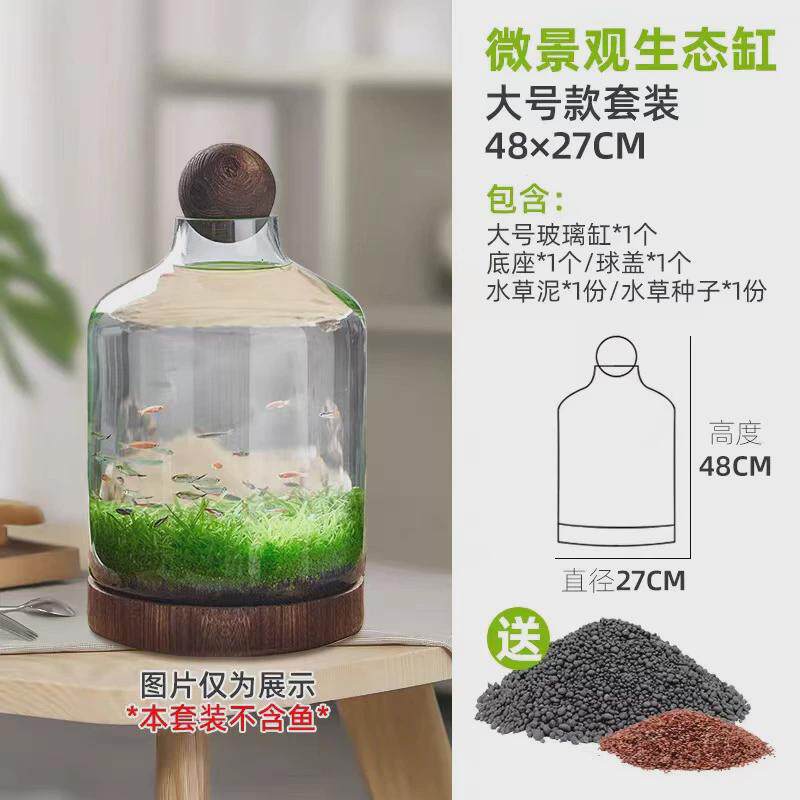 微景观生态瓶玻璃鱼缸创意DIY造景鱼虾水草缸日式木托桌面办公室