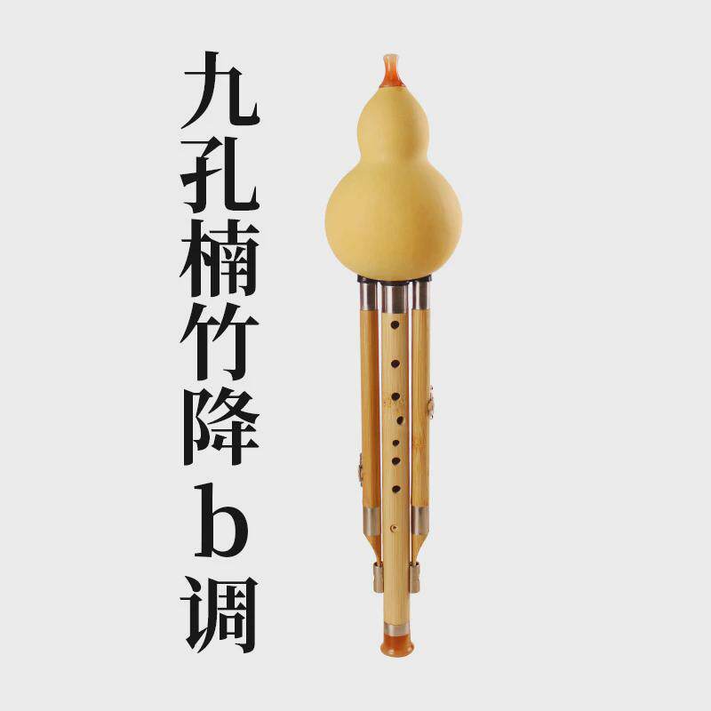 九孔金丝楠竹葫芦丝c调b调音准专业学生演奏型成人三音楠竹葫芦丝